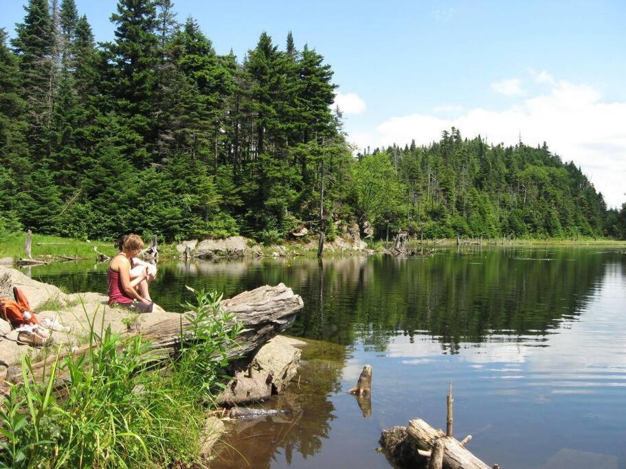 Cabin Sutton 252 - En Harmonie Avec La Nature!别墅 外观 照片