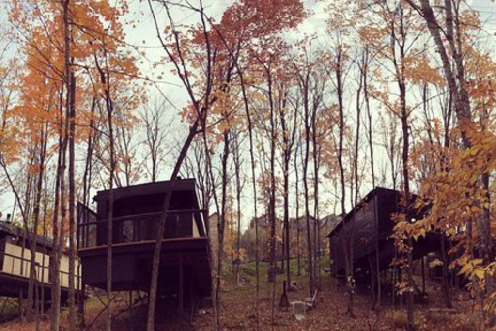 Cabin Sutton 252 - En Harmonie Avec La Nature!别墅 外观 照片