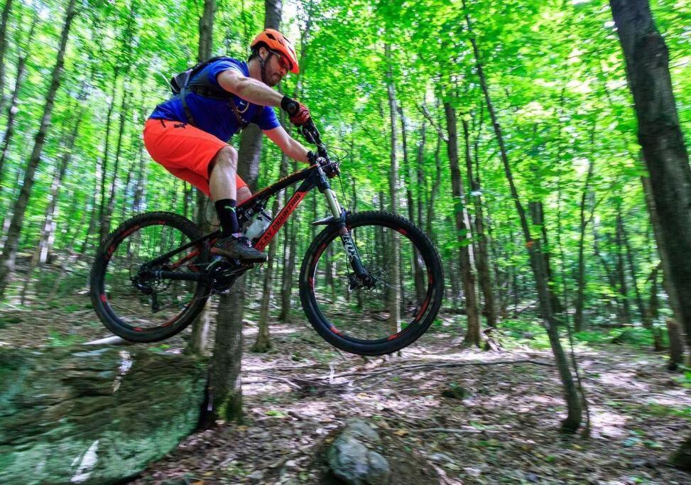 Cabin Sutton 252 - En Harmonie Avec La Nature!别墅 外观 照片